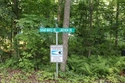 Lakeview Drive, Pickerel, WI 54465