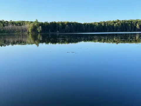 Wistful Vista Road, White Lake, WI 54491