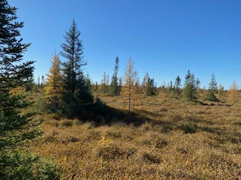 Hornick Road, Phillips, WI 54555