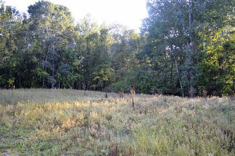 1100 Thornberry Creek Dr, Green Bay, WI 54304