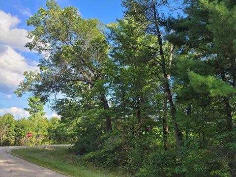 Warrington Lake Drive, Gillett, WI 54124
