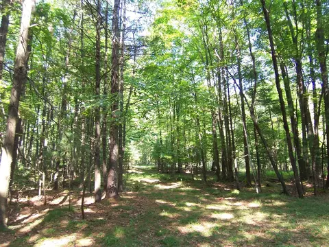 Timber Trail, Suamico, WI 54713