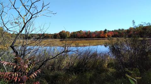 5098 Menominee Line Rd, Gillett, WI 54124