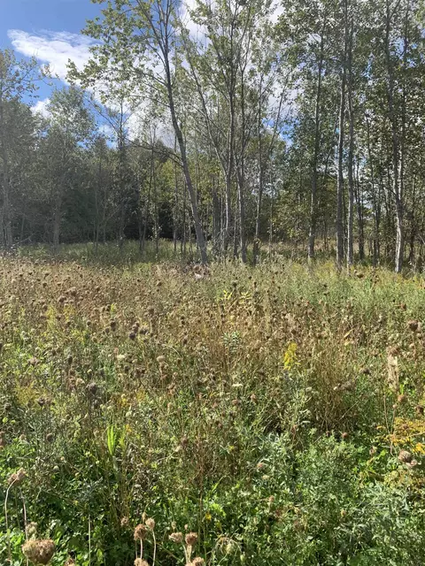 23 5 Ln, Daggett, MI 49821 photo 1