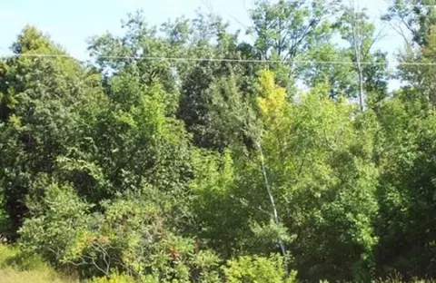 County Rd S, Algoma, WI 54201