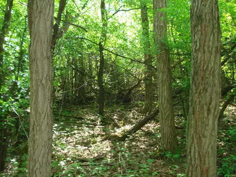 Highway 73, Wautoma, WI 54982