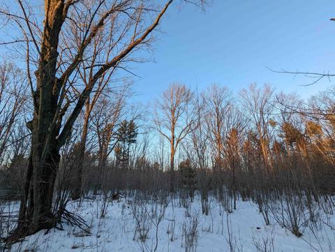 Linwood Drive, Stevens Point, WI 54481