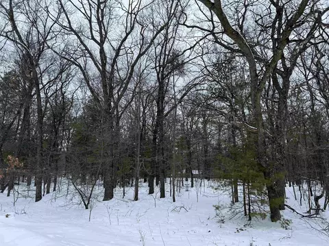 Terri Court, Shawano, WI 54166
