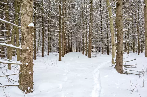 Highview Drive, Appleton, WI 54913