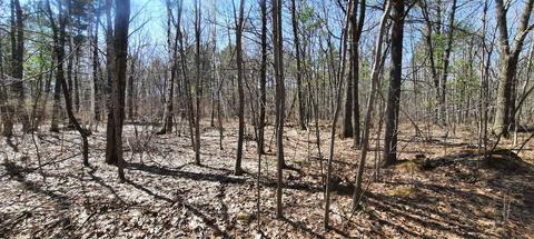 E Pine Tree Road, Sturgeon Bay, WI 54235