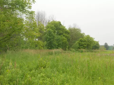 Lessor-navarino Road, Bonduel, WI 54107