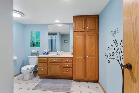 624 E Main St, Embarrass, WI 54933 photo 39