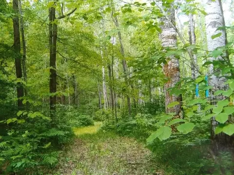 Menominee Woods Drive, Wausaukee, WI 54177