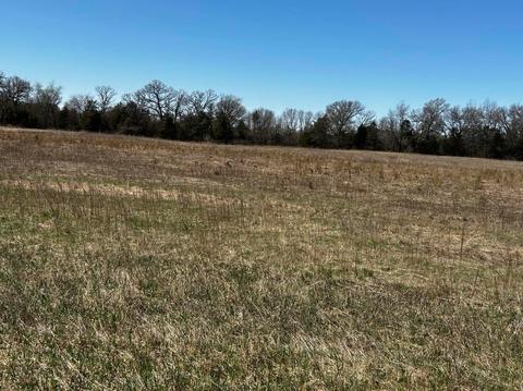 Hwy 73, Neshkoro, WI 54960