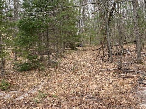 Island Lake Road, Mountain, WI 54149