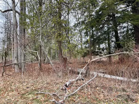 Sand Road, Hermansville, MI 49847