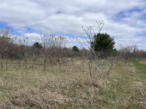 Sheridan Street, Oconto Falls, WI 54154