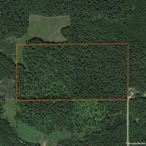 Elm Tree Lane, Bowler, WI 54416