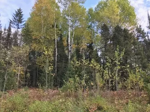 Ross Lake Road, Argonne, WI 54511