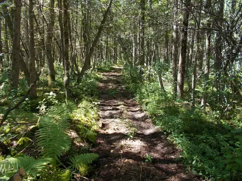W6304 P-3 Lane, Menominee, MI 49858