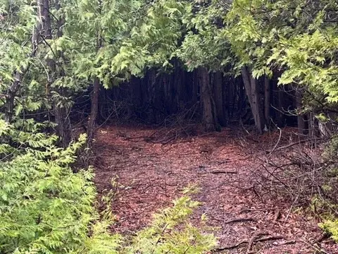 12 Th Rd, Algoma, WI 54201 photo 16