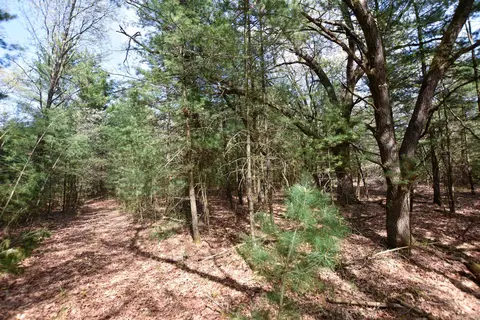 Apache Court, Pine River, WI 54965 photo 11