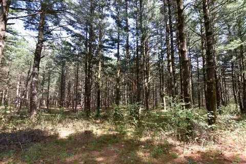 Apache Court, Pine River, WI 54965 photo 13