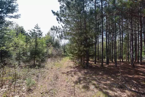 Apache Court, Pine River, WI 54965 photo 4