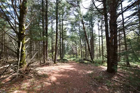Apache Court, Pine River, WI 54965 photo 7