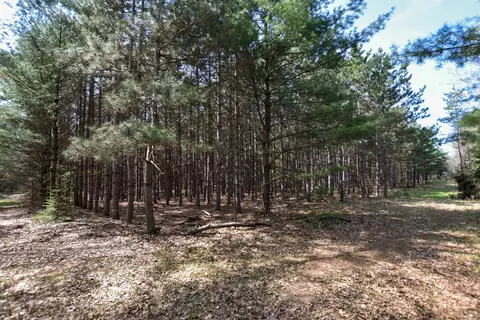 Apache Court, Pine River, WI 54965 photo 6