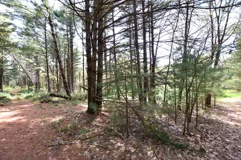 Apache Court, Pine River, WI 54965 photo 9