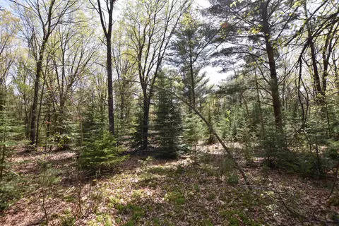 Apache Court, Pine River, WI 54965