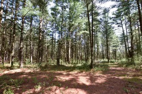 Apache Court, Pine River, WI 54965 photo 14