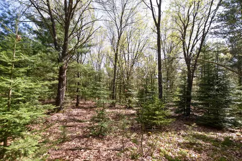 Apache Court, Pine River, WI 54965 photo 10