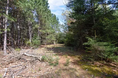 Apache Court, Pine River, WI 54965 photo 3