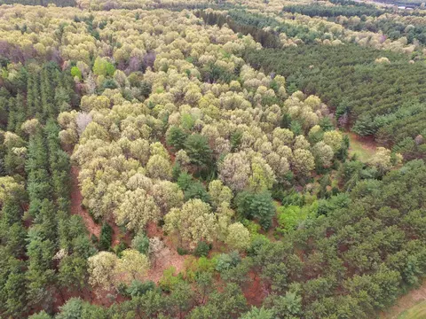 Apache Court, Pine River, WI 54965 photo 30