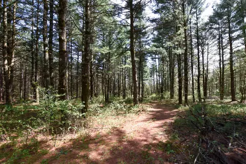 Apache Court, Pine River, WI 54965 photo 12