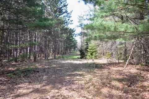 Apache Court, Pine River, WI 54965 photo 5