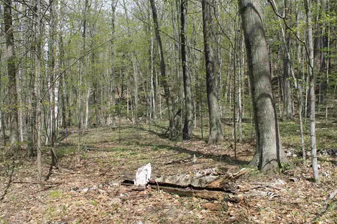 Spring Lane, Egg Harbor, WI 54209