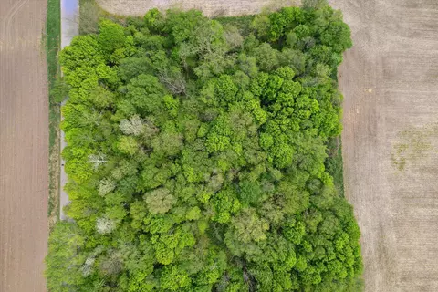 Gerbig Road, Marion, WI 54950
