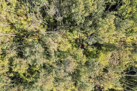 Forest Road, Oneida, WI 54155 photo 24