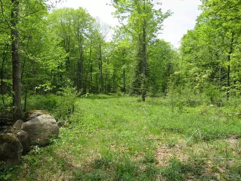 Trump Lake Road, Wabeno, WI 54566