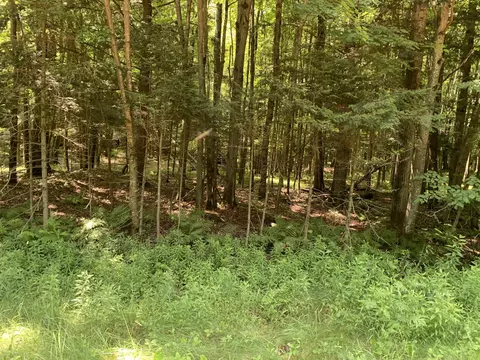 Fairview Road, Cleveland, WI 54426