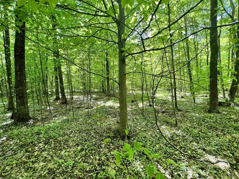 N12355 Red Rock Road, Athelstane, WI 54104