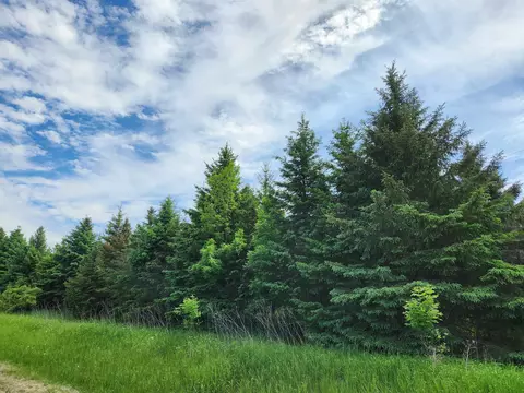 Cty Road M, Ripon, WI 54971 photo 6