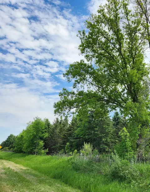 Cty Road M, Ripon, WI 54971 photo 5