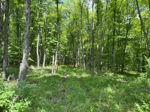 Rosetti Road, Iron River, MI 49935