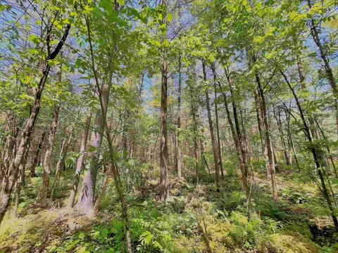 Mountain Shadow Lane, Wautoma, WI 54982
