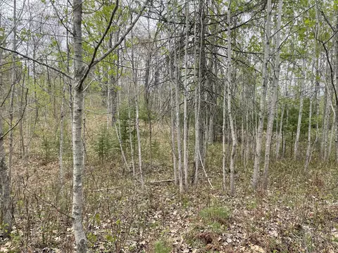 Co Rd 356, Stephenson, MI 49887