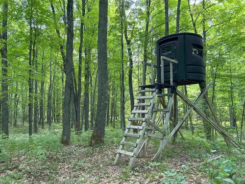 Forest Road 519, Dunbar, WI 54419